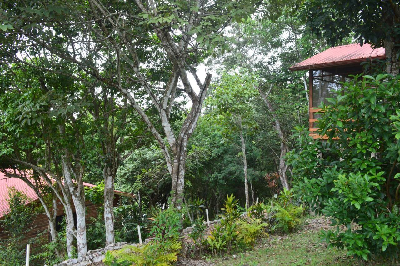 Santa Cruz Cabins Santa Elena Exterior photo